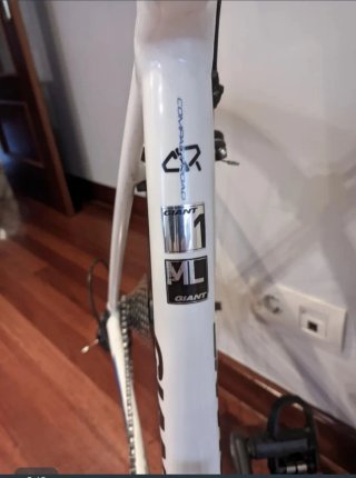 Bicicleta Giant TCR Advanced 1