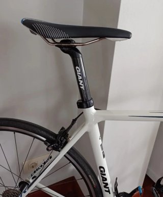 Bicicleta Giant TCR Advanced 1