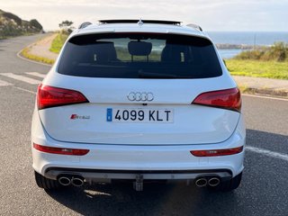 Audi SQ5 2014
