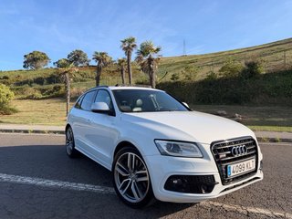 Audi SQ5 2014