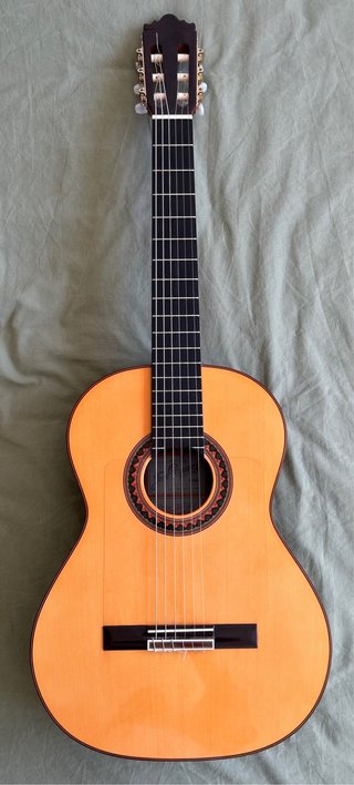 Guitarra Profesional Jose Ramirez 3NAE