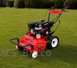 Segadora de Martillos - 208cc - 7Hp - BMFC01