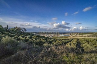 Local comercial en venta en Mollina