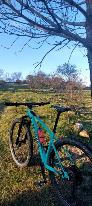 Orbea Alma