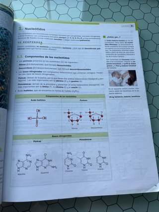 Biología 2o Bachillerato
