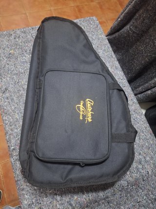 Arpa Autoharp Oscar Schmidt OS150FCE