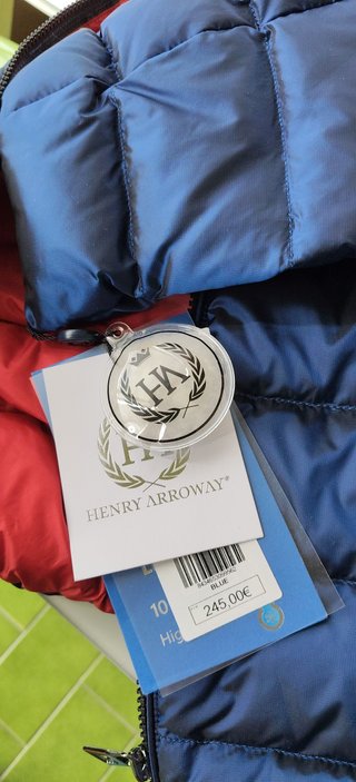 Chaqueta de plumas Henry Arroway azul