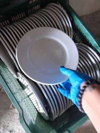 Platos de porcelana blancos hay variedades