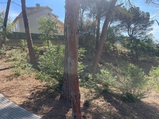 Terreno en venta en Torre de Claramunt, La