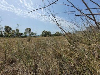 Terreno en venta en Sant Esteve Sesrovires