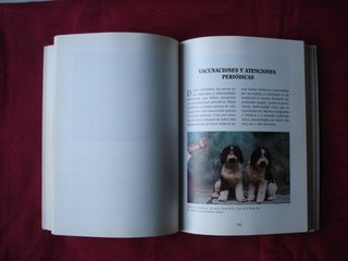 El nuevo libro del Perro de Agua español.