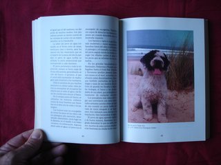 El nuevo libro del Perro de Agua español.