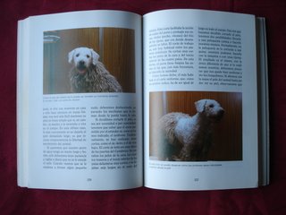 El nuevo libro del Perro de Agua español.