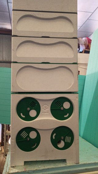 Colmena P-Hive Completa