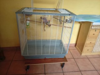 Jaula Voladera Grande