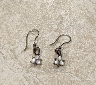 Pendientes colgantes plateados