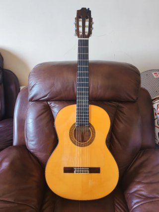 Guitarra Alhambra 7FC
