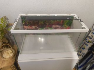 Acuario 60L Blanco + Mueble Acuario
