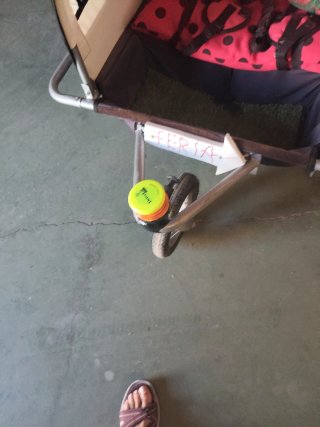 Carro para niños con capota