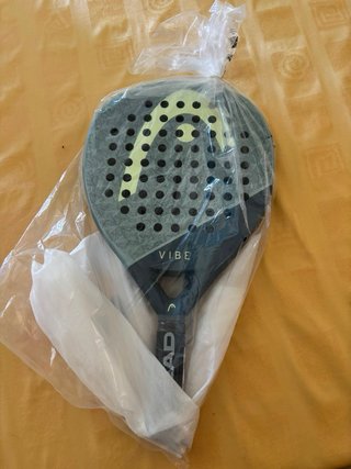 Pala Head Vibe 2026