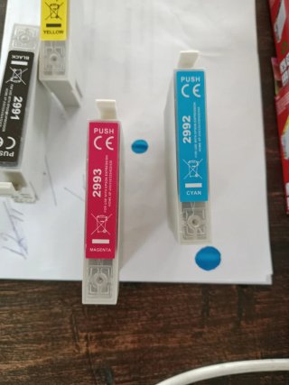 Cartuchos de Tinta Epson RE-T2991, RE-T2992, RE-T2
