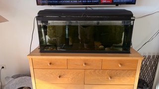 Acuario 100L con luz