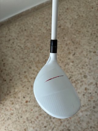 Palo de golf