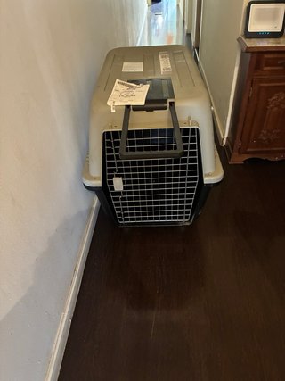 Transportín para perros con ruedas