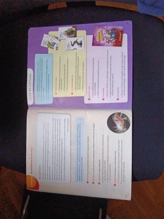 Lengua Castellana y Literatura, 4 Primaria, Moc...