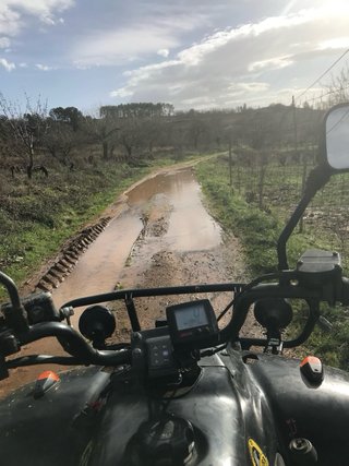 Quad ATV Linhai 260 CON REDUCTORA