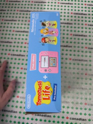 Nintendo 2DS Rosa