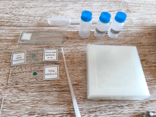 Microscopio infantil con accesorios