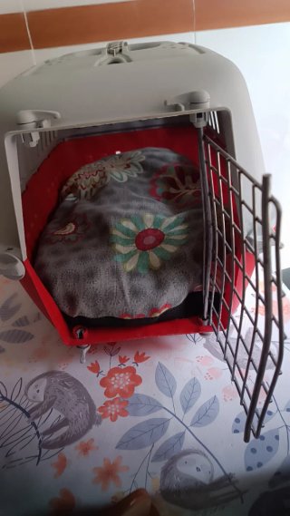Transportín para mascotas pequeñas