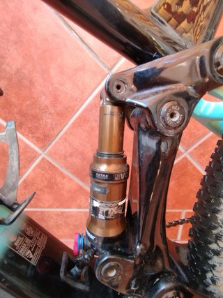 Berria Mako Cuadro Bicicleta + amortiguador