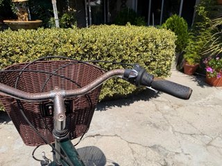 Bicicleta de paseo verde