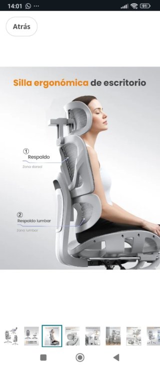 Silla de oficina ergonómica gris