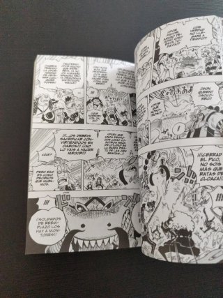One Piece no 100