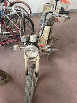 Honda PX 50 Moped