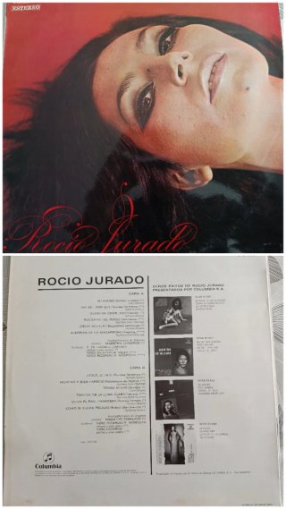 5 Vinilos se venden sueltos o el lote completo