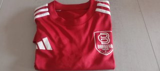 Camiseta Entrenamiento Barberà CF Adidas