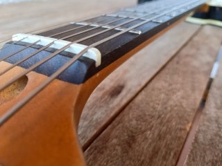 Guitarra Eléctrica Telecaster Negra