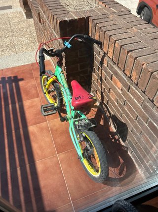 Bicicleta infantil sin ruedines