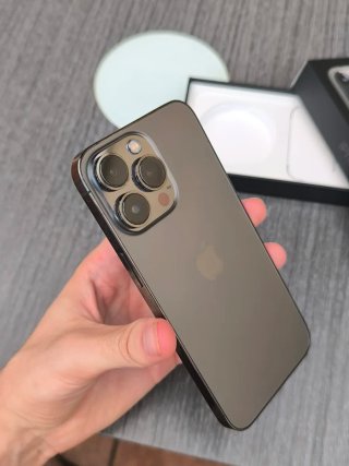 iPhone 13 Pro 100%