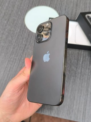 iPhone 13 Pro 100%