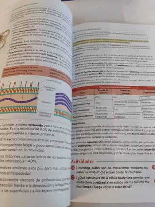 Biología y Ciencias Ambientales 1ºBach - 9780190545789
