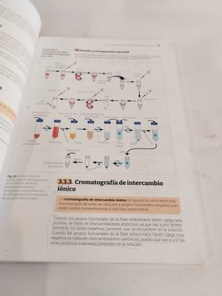 Biología Molecular y Citogenética - 9788418843372