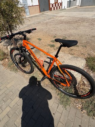 Bicicleta de montaña