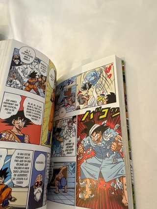 Bola de Drac Freezer 1