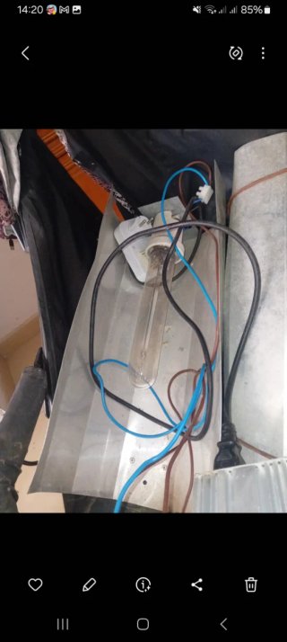 Bombilla Cultivo HPS Power Plant 600W