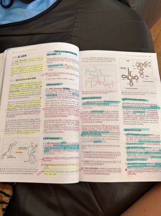 Biología molecular y citogenética CFGS Laborato...